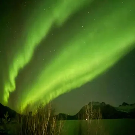 民宿 Koselig Rom I Sentrum Gratis Wifi Og Parkering Rom 1 *