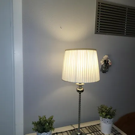 Privat overnatting Koselig Rom I Sentrum Gratis Wifi Og Parkering Rom 1 *
