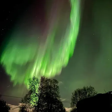 Koselig Rom I Sentrum Gratis Wifi Og Parkering Rom 1 * Narvik