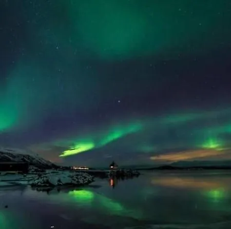 Koselig Rom I Sentrum Gratis Wifi Og Parkering Rom 1 * Narvik