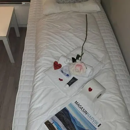Koselig Rom I Sentrum Gratis Wifi Og Parkering Rom 1 Privat overnatting